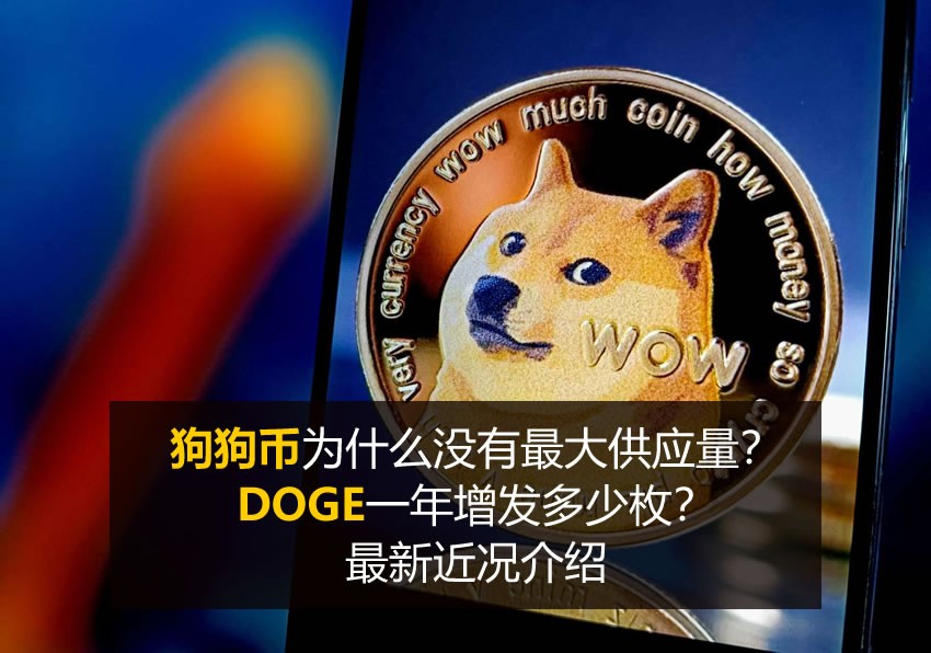 狗狗币(DOGE)新手指南
