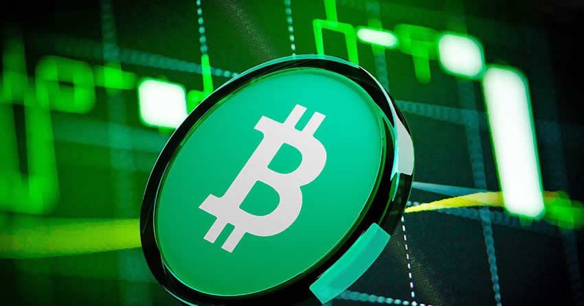 比特币现金BCH 新手指南